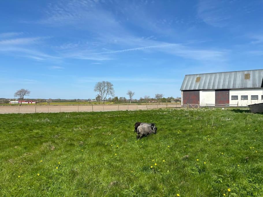 Oesterlen Oasis Spjutstorp Zewnętrze zdjęcie