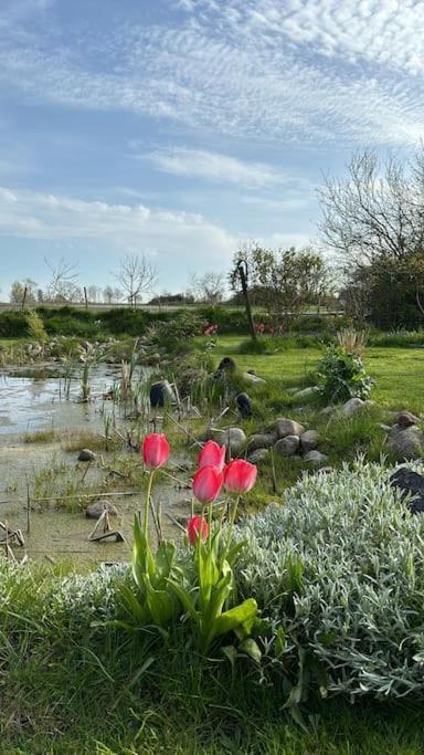 Oesterlen Oasis Spjutstorp Zewnętrze zdjęcie